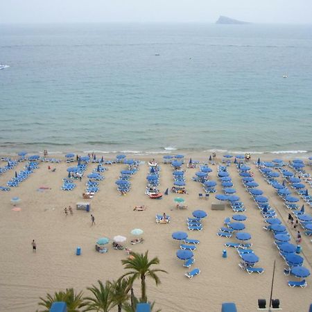 Las Palmeras Iii- Fincas Arena Benidorm Exteriér fotografie